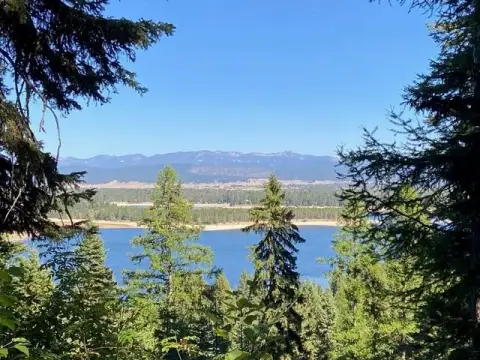 5 Acres Bordering US Forest
