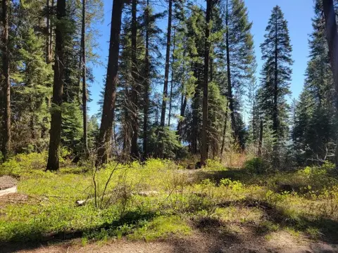 Recreational Land Near Cascade, Idaho