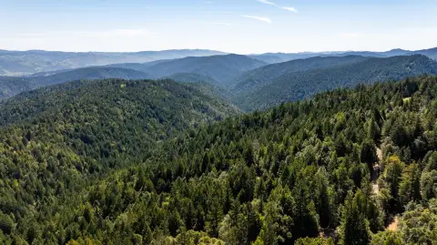 Redwood Timber Farm