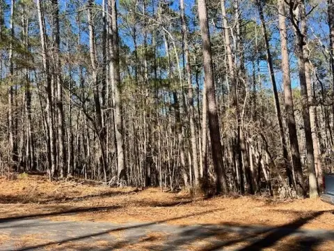 Wooded Lot in Savannah Lakes