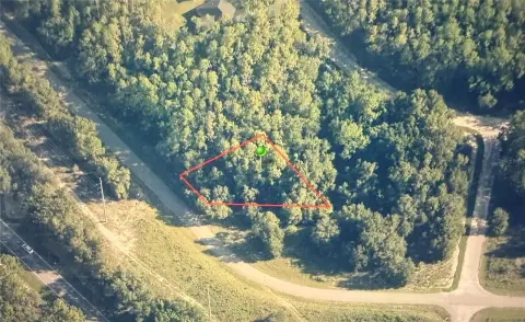 Residential Lot in Citrus Springs