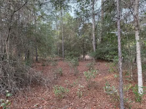 Rainbow Lake Estates Vacant Lot