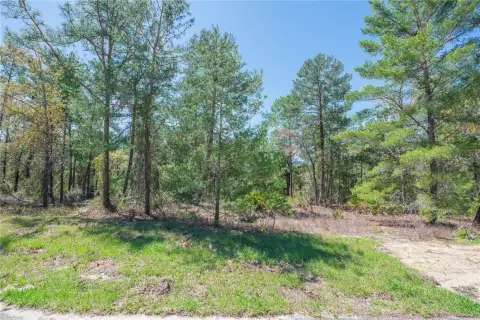 Residential Land in Sugarmill Woods