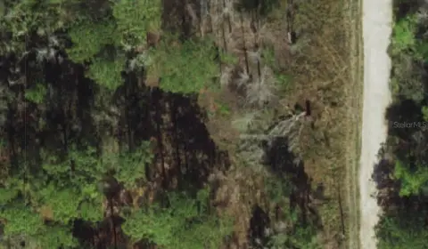 Vacant Lot in Moon Lake