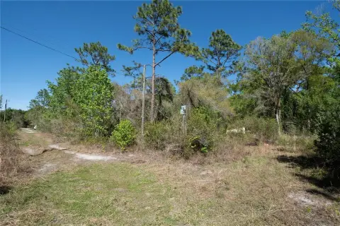 Moon Lake Vacant Land Opportunity