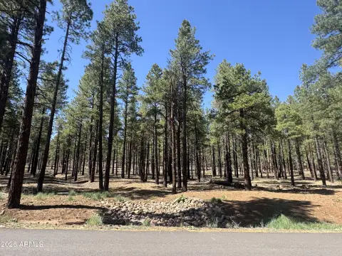 Land Backing Coconino National Forest