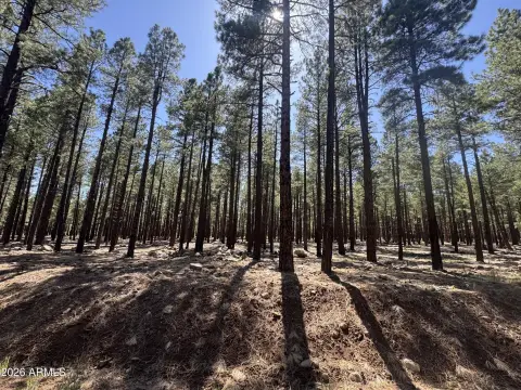 Flagstaff Land with Mountain Views