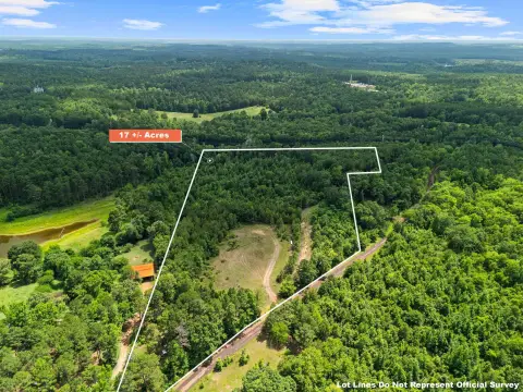 Timbered Hunting Land Parcel