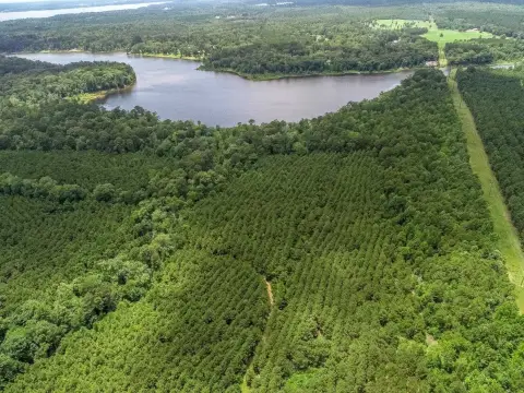 Wooded Timberland with Lake Frontage
