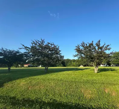 Residential Lot in Jackson, TN