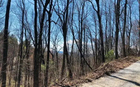 Residential Lot in Screamer Mountain