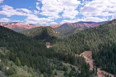 Secluded Land Near Cedar Breaks