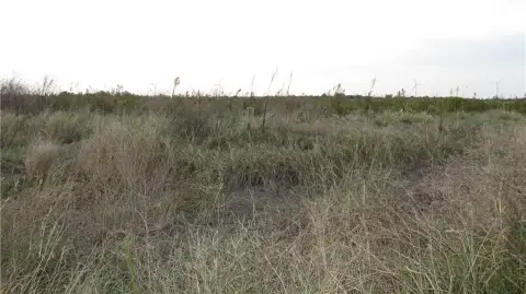 Land Near Mathis, Texas