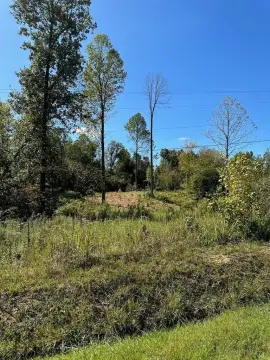 Madisonville Acreage with Owner Financing