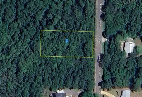 Wooded Lot in Floridale Beach