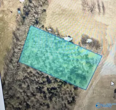 Land For Sale, Leighton, AL