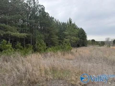 90 Acres Near Little River
