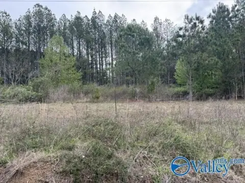 19.6 Acres Near Little River