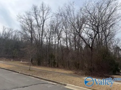 Residential Land in Established Neighborhood