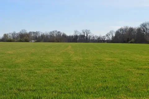 Productive Tillable Acreage in Illinois