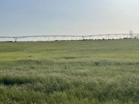 Irrigated Farm with Two Pivots