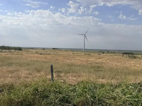 Cropland and Pasture Land