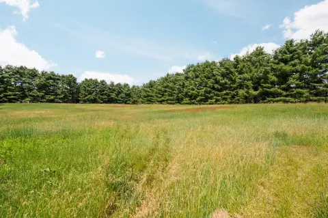 Country Parcel with Greenhouse