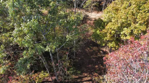 Land in Red River Gorge