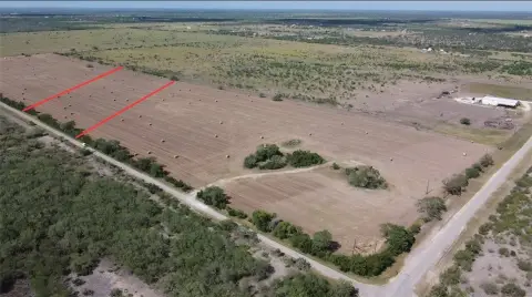 Cleared Land Near Orange Grove