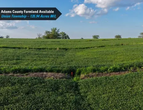Productive Iowa Farmland