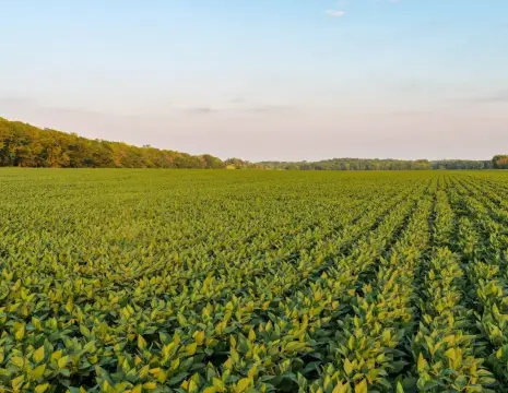 Tillable Farmland Tracts