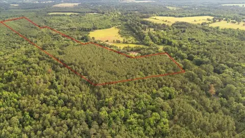 Vacant Recreational Timber Tract