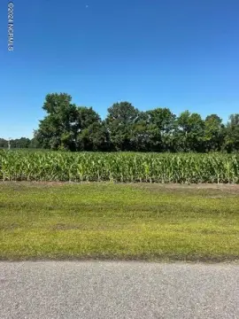 Commercial Land in Pink Hill