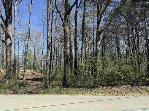 Residential Land in Arab, AL