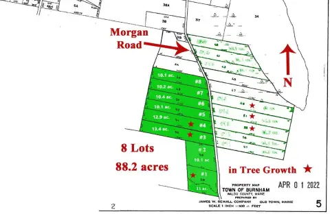 Hunting Land with Road Frontage