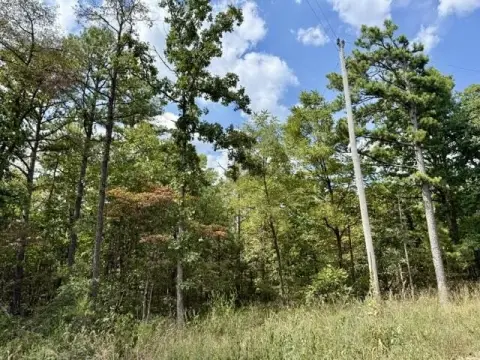 Managed Forest Hunting Land