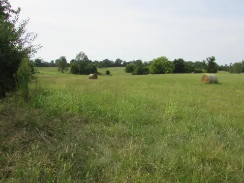 Open Agricultural Land