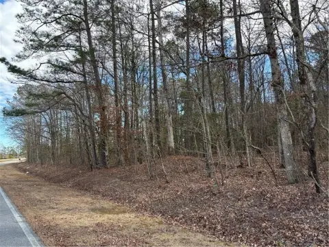 Wooded Parcels in Murfreesboro, NC