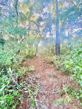 Residential Land Near Inverness Amenities