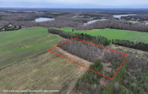Recreational and Homesite Land Tract