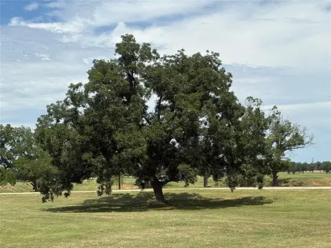 Waterfront Land in Weatherford, Texas