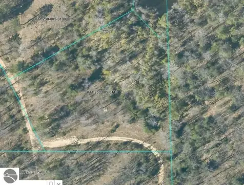 HOUGHTON LAKE Land For Sale