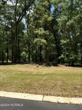 Wooded Lot in River Bluffs