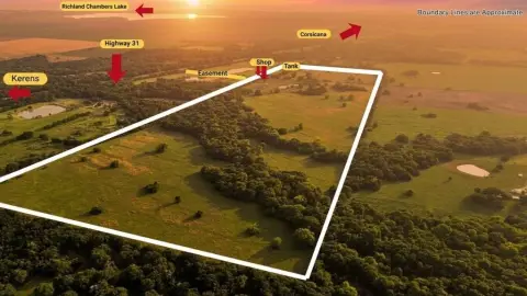 Texas Land with Hunting History
