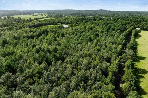 44-Acre Agricultural and Recreation Land