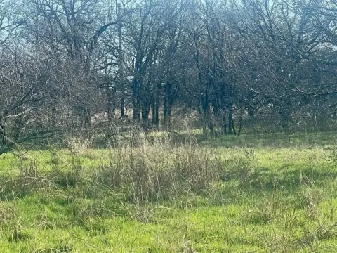 Sunset, TX Ranch For Sale