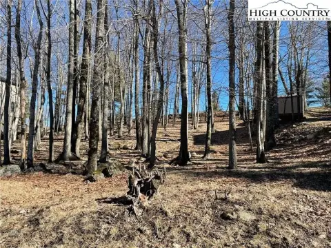 Wooded Lot Overlooking Golf Course