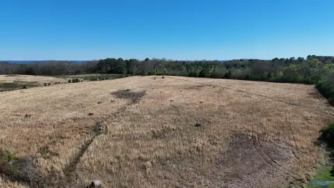 43 Acres in Grant, AL