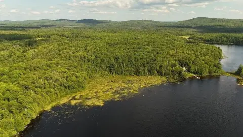 Wooded Waterfront Land