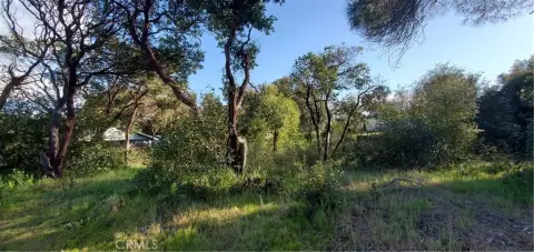 Clearlake Land for Low-Density Development